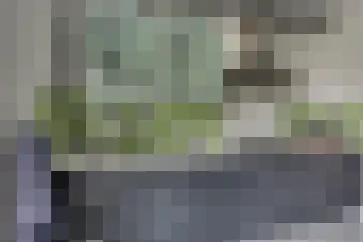 Oostmeerlaan 133 Berkel en Rodenrijs thumbnail 18