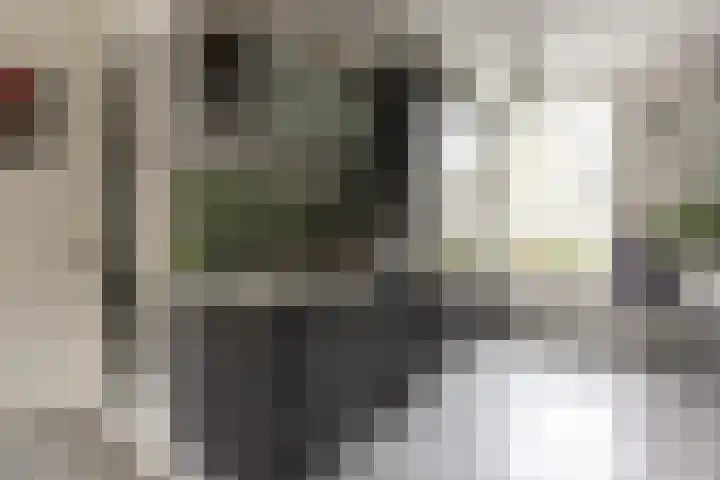 Oostmeerlaan 133 Berkel en Rodenrijs thumbnail 19
