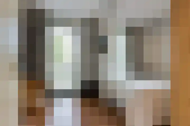 Oostmeerlaan 133 Berkel en Rodenrijs thumbnail 21