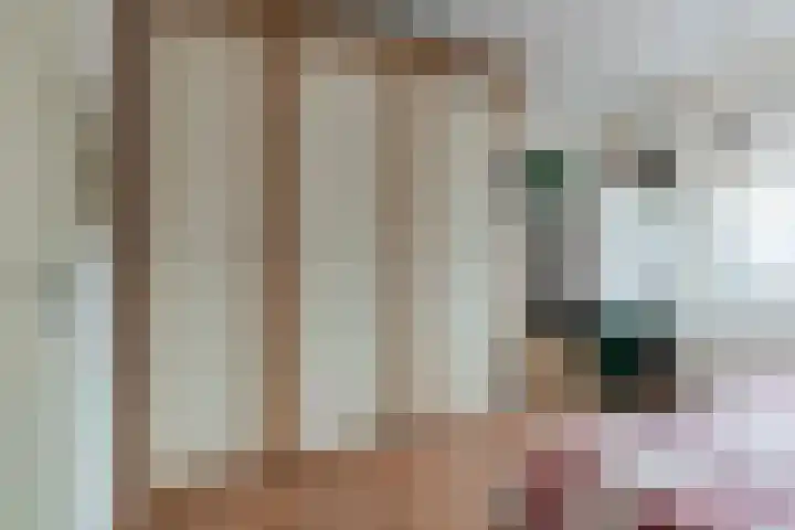 Oostmeerlaan 133 Berkel en Rodenrijs thumbnail 24