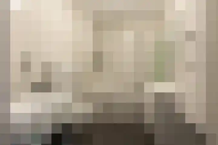 Oostmeerlaan 133 Berkel en Rodenrijs thumbnail 27