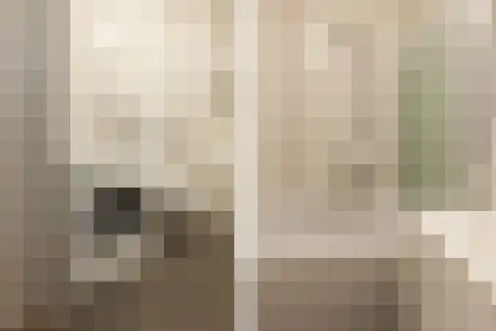 Oostmeerlaan 133 Berkel en Rodenrijs thumbnail 29
