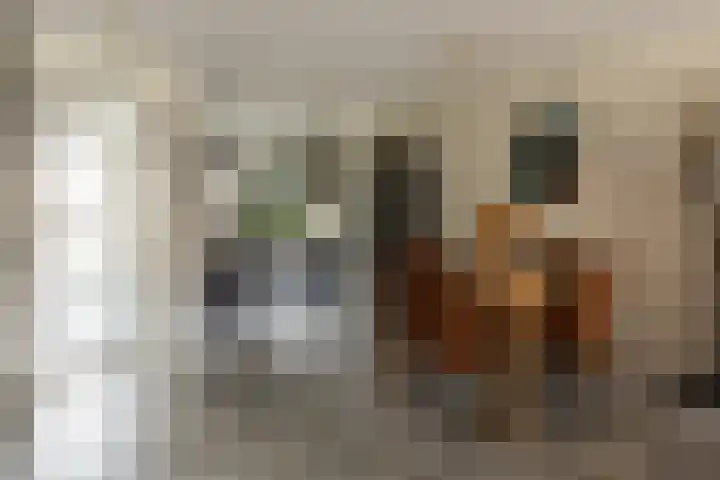 Oostmeerlaan 133 Berkel en Rodenrijs foto 3