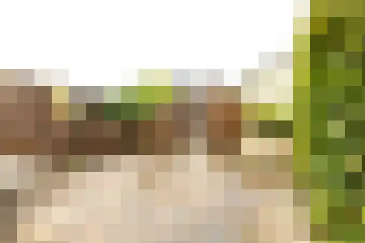 Oostmeerlaan 133 Berkel en Rodenrijs thumbnail 30