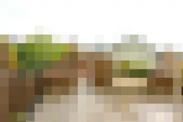 Oostmeerlaan 133 Berkel en Rodenrijs thumbnail 31