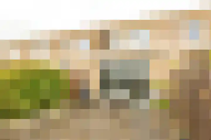 Oostmeerlaan 133 Berkel en Rodenrijs thumbnail 32