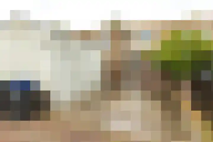 Oostmeerlaan 133 Berkel en Rodenrijs thumbnail 33