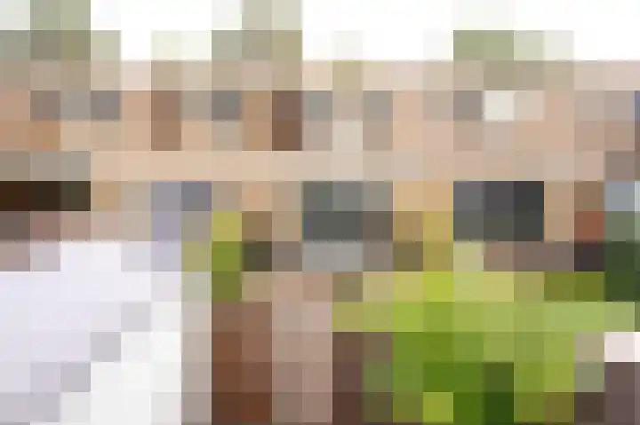 Oostmeerlaan 133 Berkel en Rodenrijs thumbnail 4