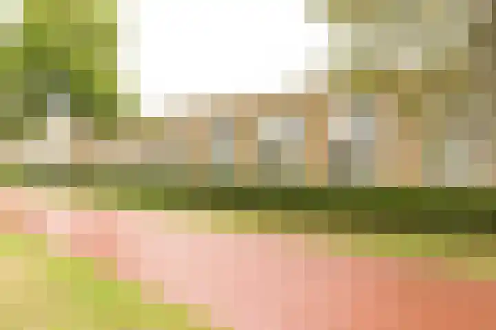 Oostmeerlaan 133 Berkel en Rodenrijs thumbnail 5