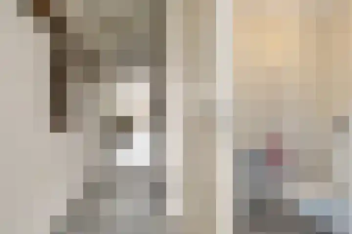 Oostmeerlaan 133 Berkel en Rodenrijs thumbnail 9