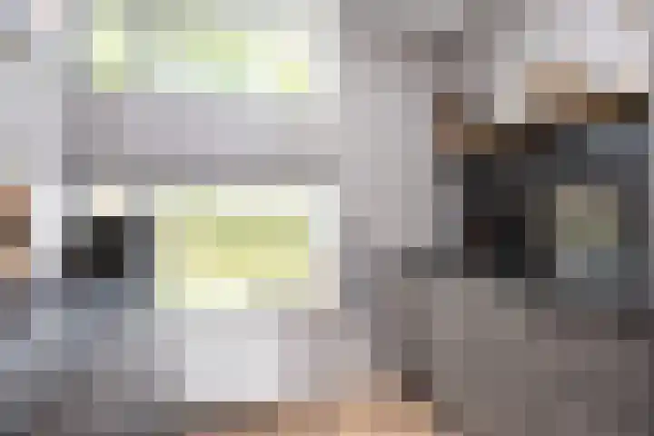 Oostmeerlaan 137 Berkel en Rodenrijs thumbnail 18
