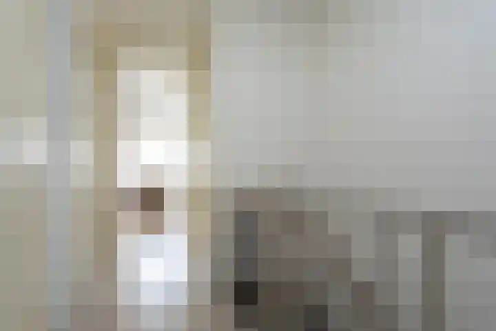 Oostmeerlaan 137 Berkel en Rodenrijs thumbnail 19