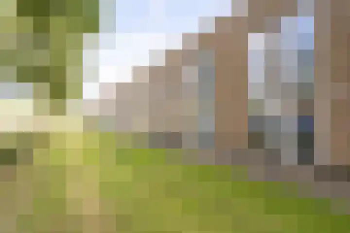 Oostmeerlaan 137 Berkel en Rodenrijs foto 2