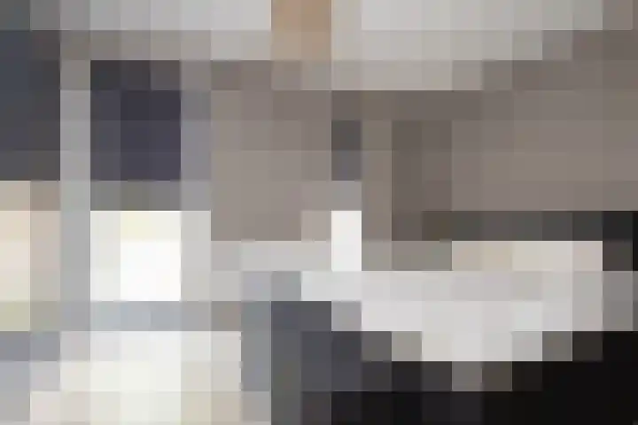 Oostmeerlaan 137 Berkel en Rodenrijs thumbnail 21