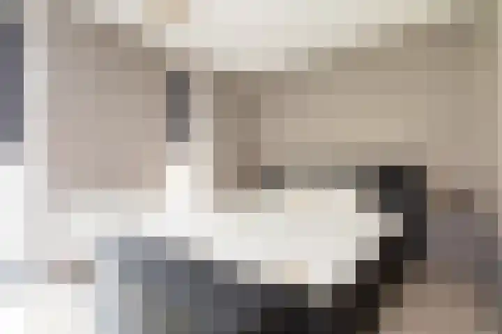 Oostmeerlaan 137 Berkel en Rodenrijs thumbnail 22
