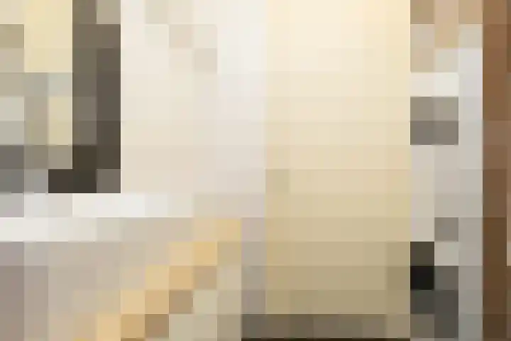 Oostmeerlaan 137 Berkel en Rodenrijs thumbnail 29