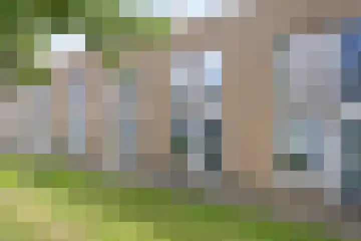 Oostmeerlaan 137 Berkel en Rodenrijs foto 3