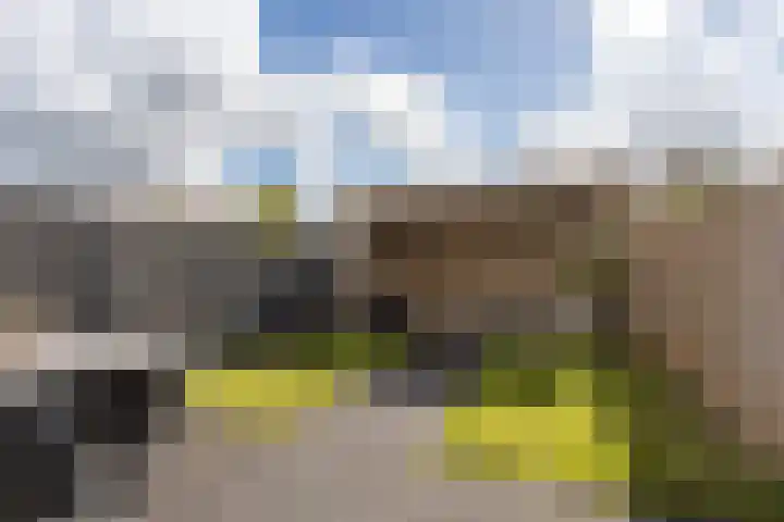 Oostmeerlaan 137 Berkel en Rodenrijs thumbnail 30