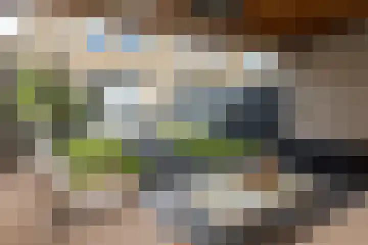Oostmeerlaan 137 Berkel en Rodenrijs thumbnail 33