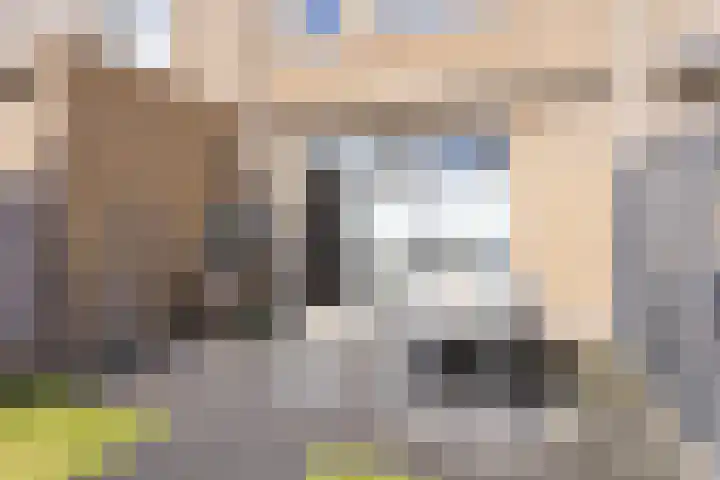 Oostmeerlaan 137 Berkel en Rodenrijs thumbnail 37