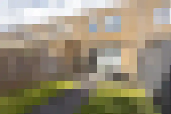 Oostmeerlaan 137 Berkel en Rodenrijs thumbnail 38