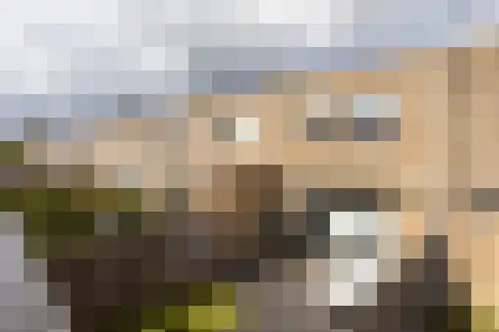 Oostmeerlaan 137 Berkel en Rodenrijs thumbnail 40