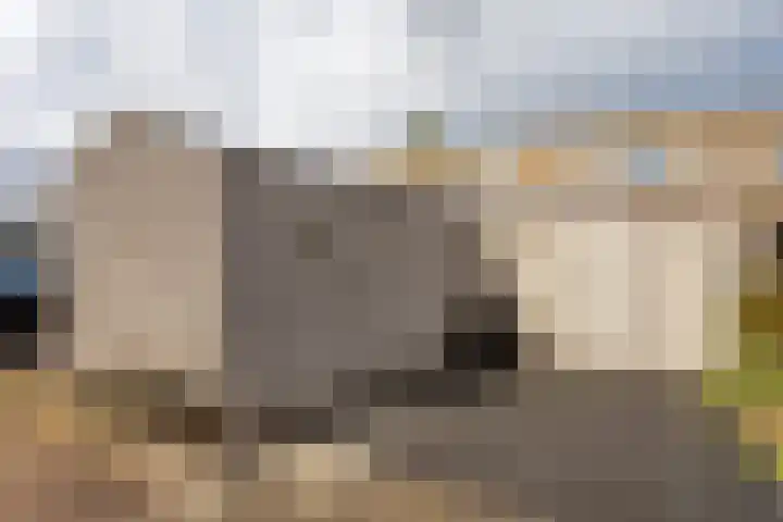 Oostmeerlaan 137 Berkel en Rodenrijs thumbnail 41