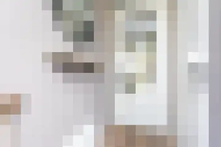 Oostmeerlaan 137 Berkel en Rodenrijs thumbnail 6