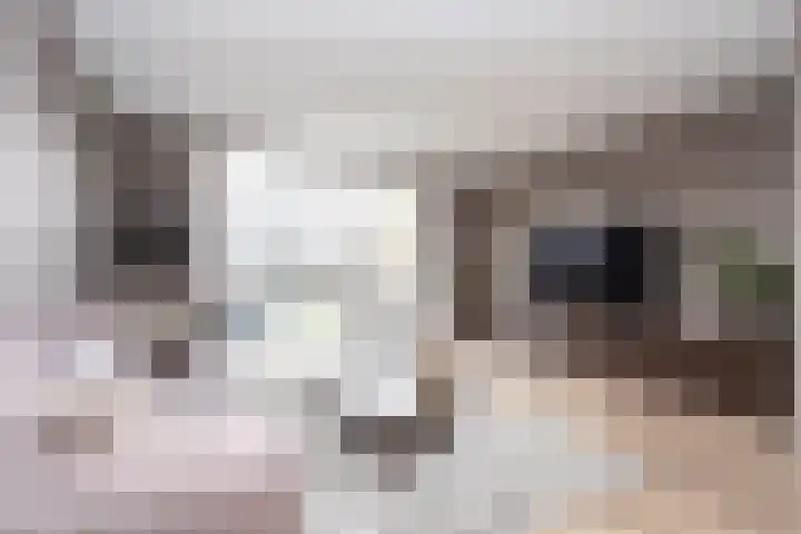 Oostmeerlaan 137 Berkel en Rodenrijs thumbnail 8
