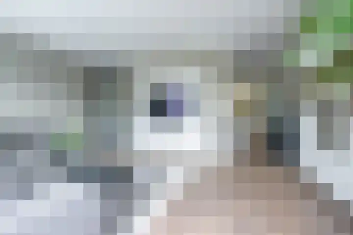 Oostmeerlaan 138 Berkel en Rodenrijs thumbnail 10