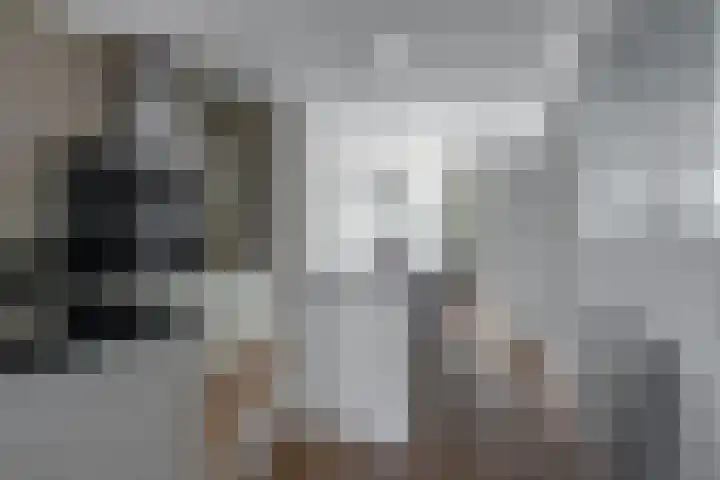 Oostmeerlaan 138 Berkel en Rodenrijs thumbnail 11
