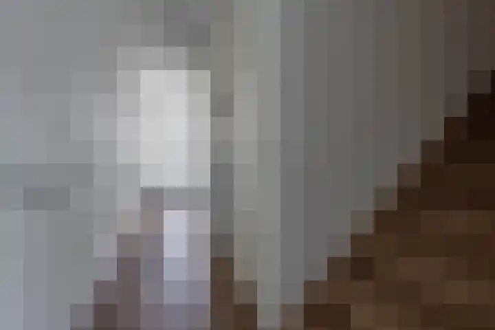 Oostmeerlaan 138 Berkel en Rodenrijs thumbnail 19