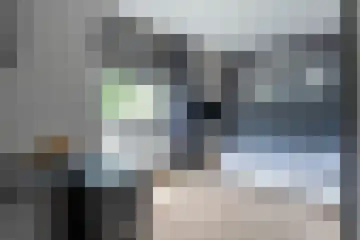 Oostmeerlaan 138 Berkel en Rodenrijs thumbnail 22