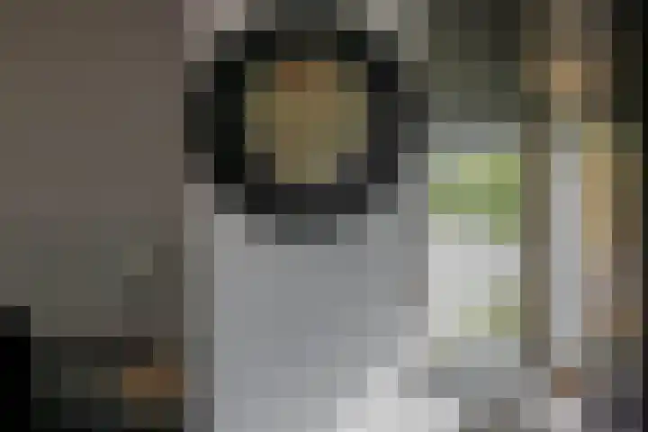 Oostmeerlaan 138 Berkel en Rodenrijs thumbnail 24