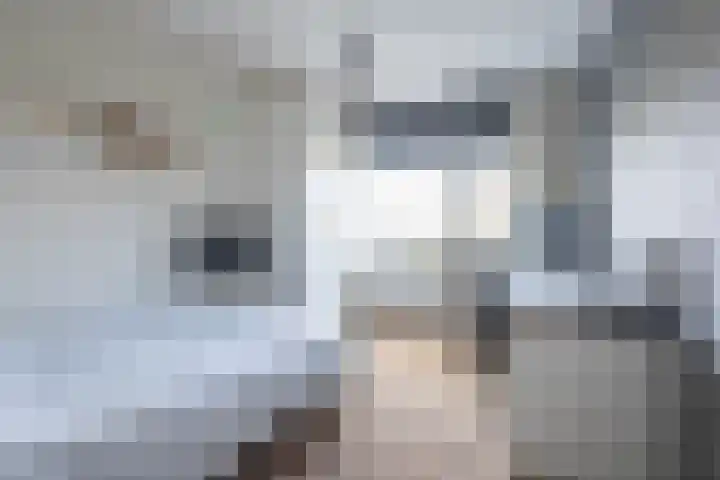 Oostmeerlaan 138 Berkel en Rodenrijs thumbnail 26