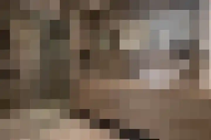 Oostmeerlaan 138 Berkel en Rodenrijs thumbnail 32
