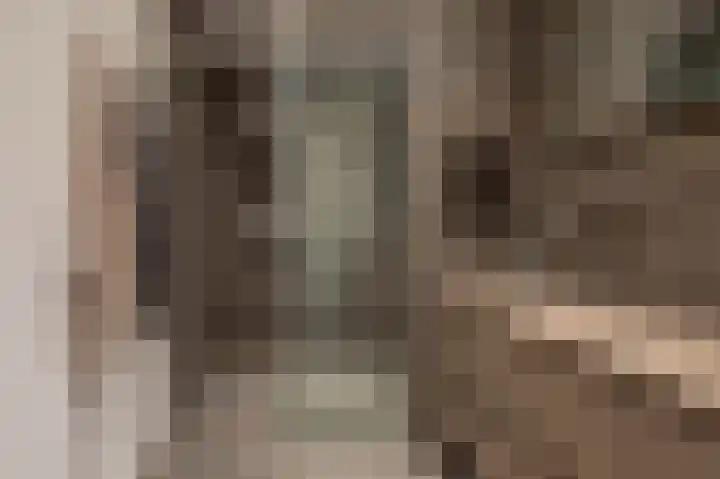 Oostmeerlaan 138 Berkel en Rodenrijs thumbnail 33
