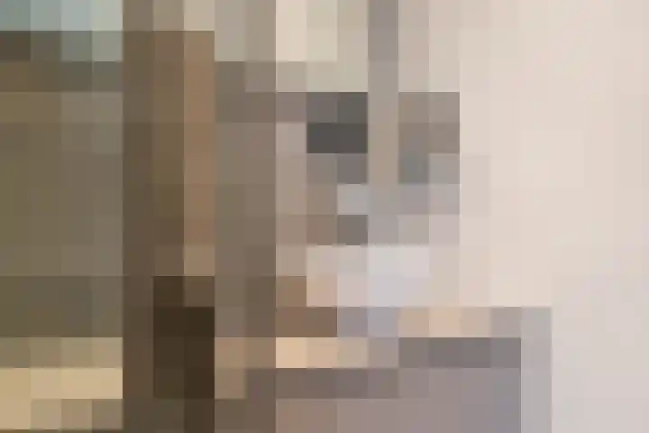 Oostmeerlaan 138 Berkel en Rodenrijs thumbnail 34