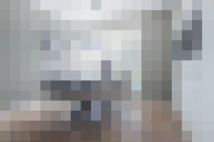 Oostmeerlaan 138 Berkel en Rodenrijs thumbnail 4