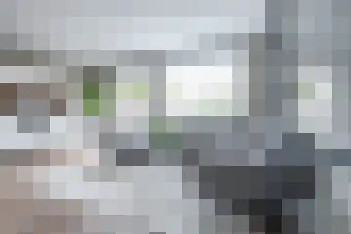 Oostmeerlaan 138 Berkel en Rodenrijs thumbnail 5