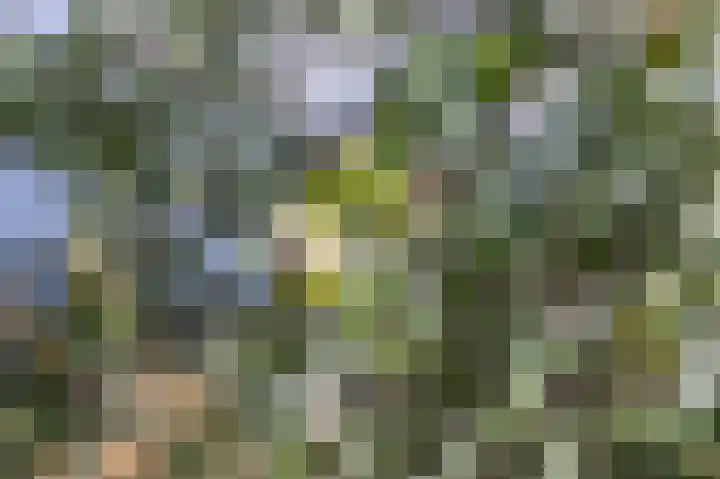 Oostmeerlaan 138 Berkel en Rodenrijs thumbnail 51