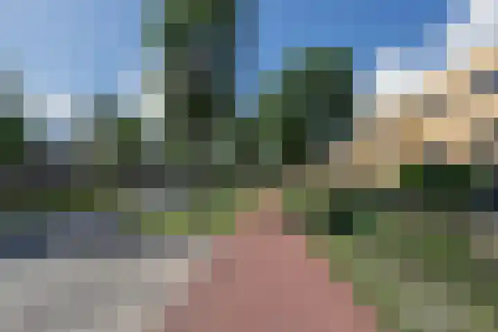 Oostmeerlaan 138 Berkel en Rodenrijs thumbnail 55