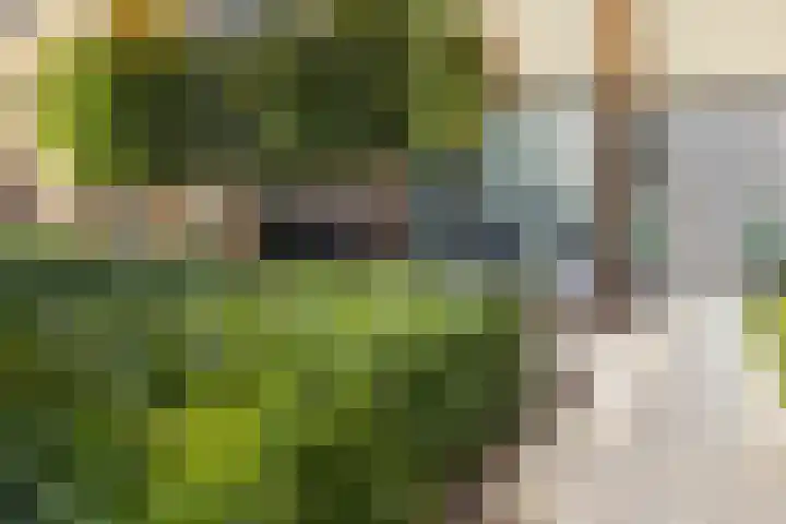 Oostmeerlaan 138 Berkel en Rodenrijs thumbnail 56