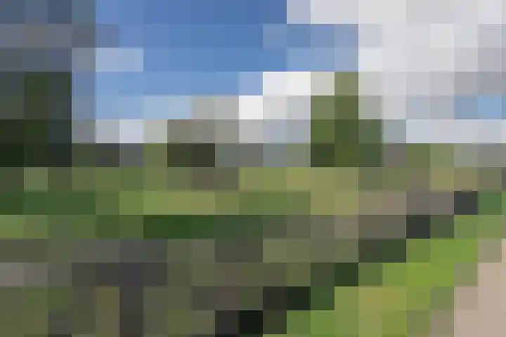 Oostmeerlaan 138 Berkel en Rodenrijs thumbnail 61