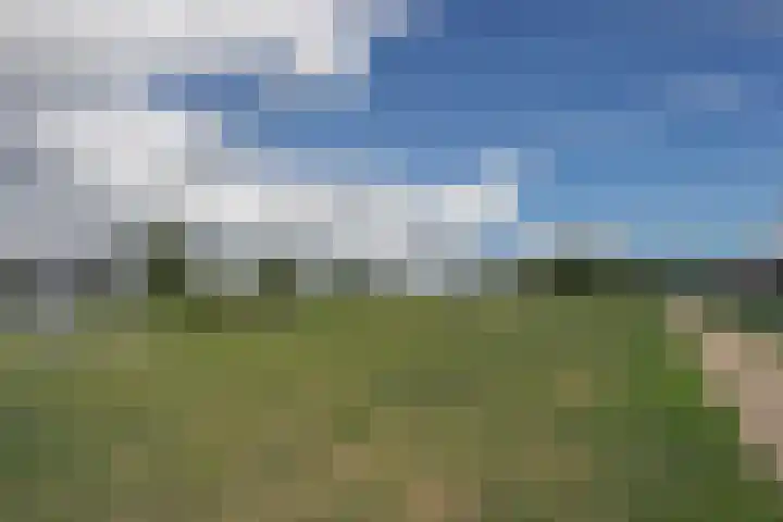 Oostmeerlaan 138 Berkel en Rodenrijs thumbnail 62