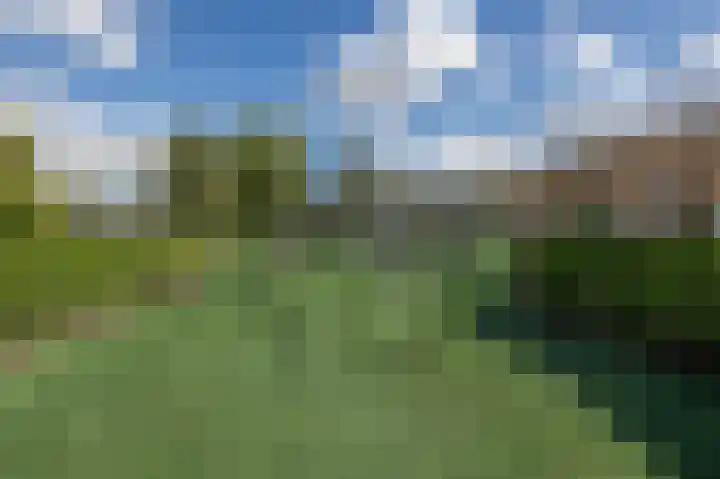 Oostmeerlaan 138 Berkel en Rodenrijs thumbnail 64