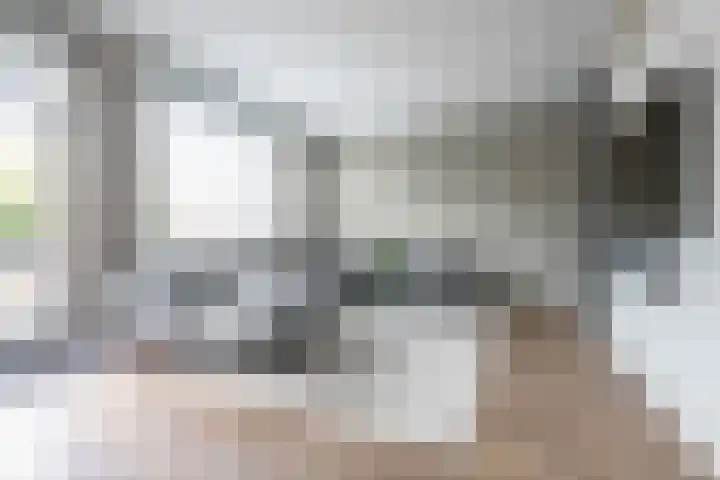 Oostmeerlaan 138 Berkel en Rodenrijs thumbnail 8