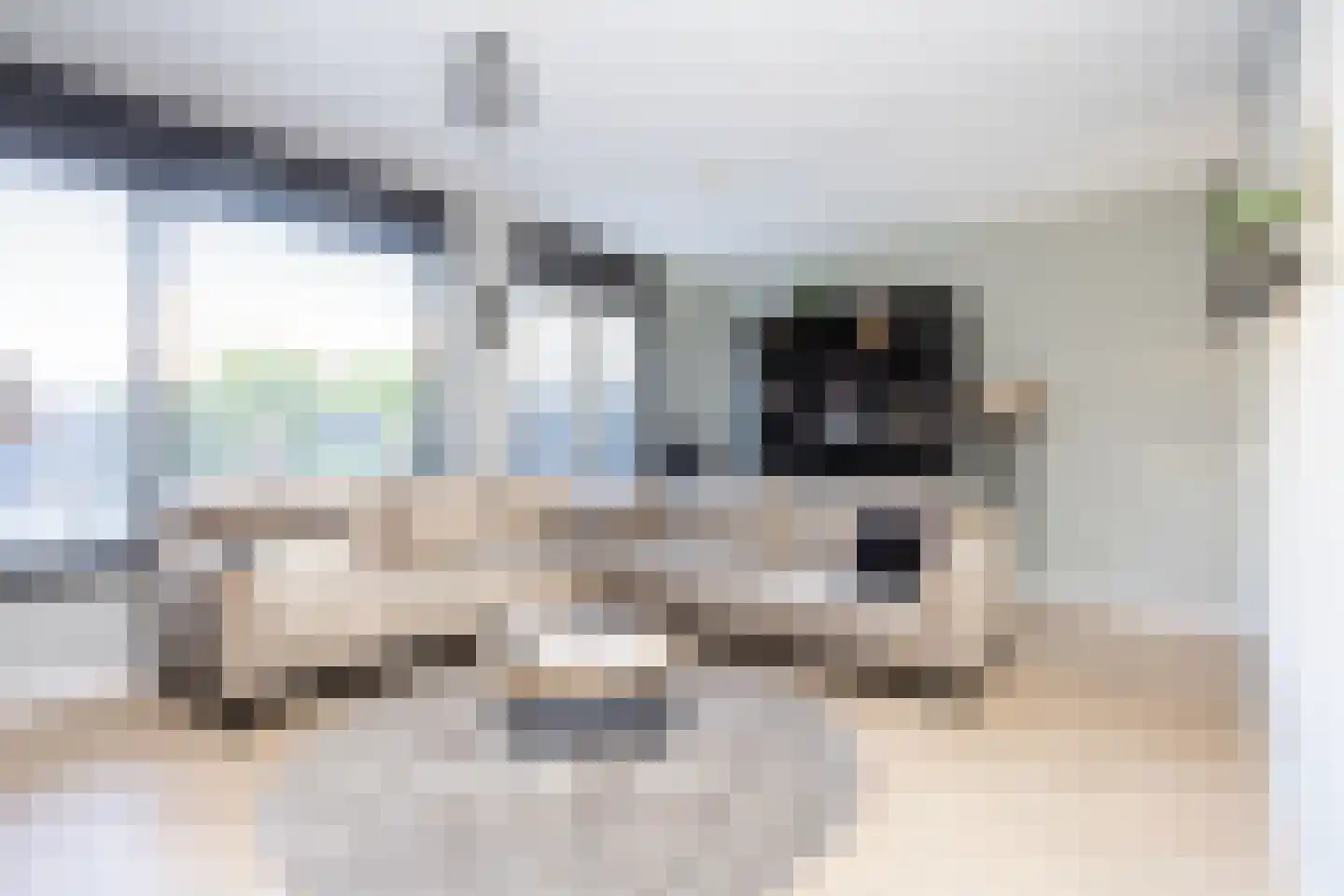 Oostmeerlaan 140 Berkel en Rodenrijs thumbnail 10