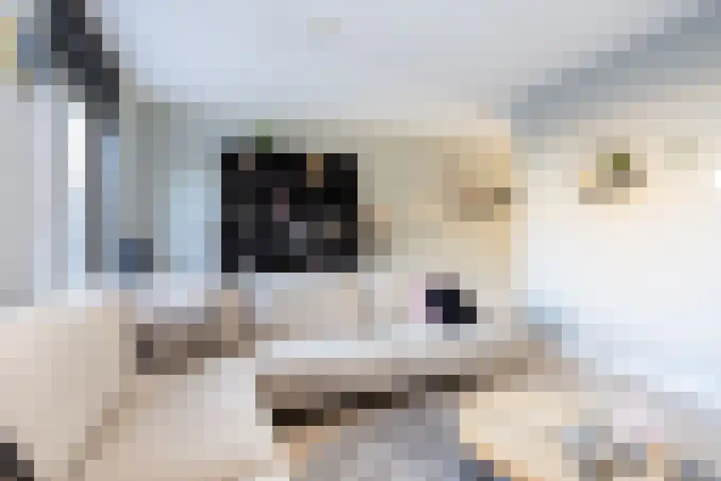 Oostmeerlaan 140 Berkel en Rodenrijs thumbnail 12