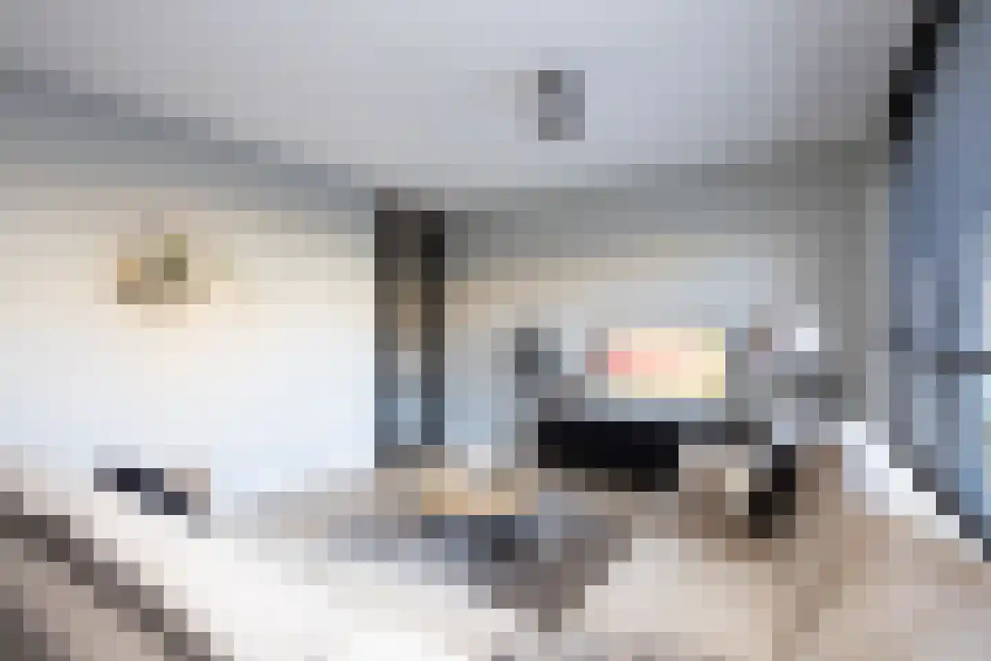 Oostmeerlaan 140 Berkel en Rodenrijs thumbnail 14